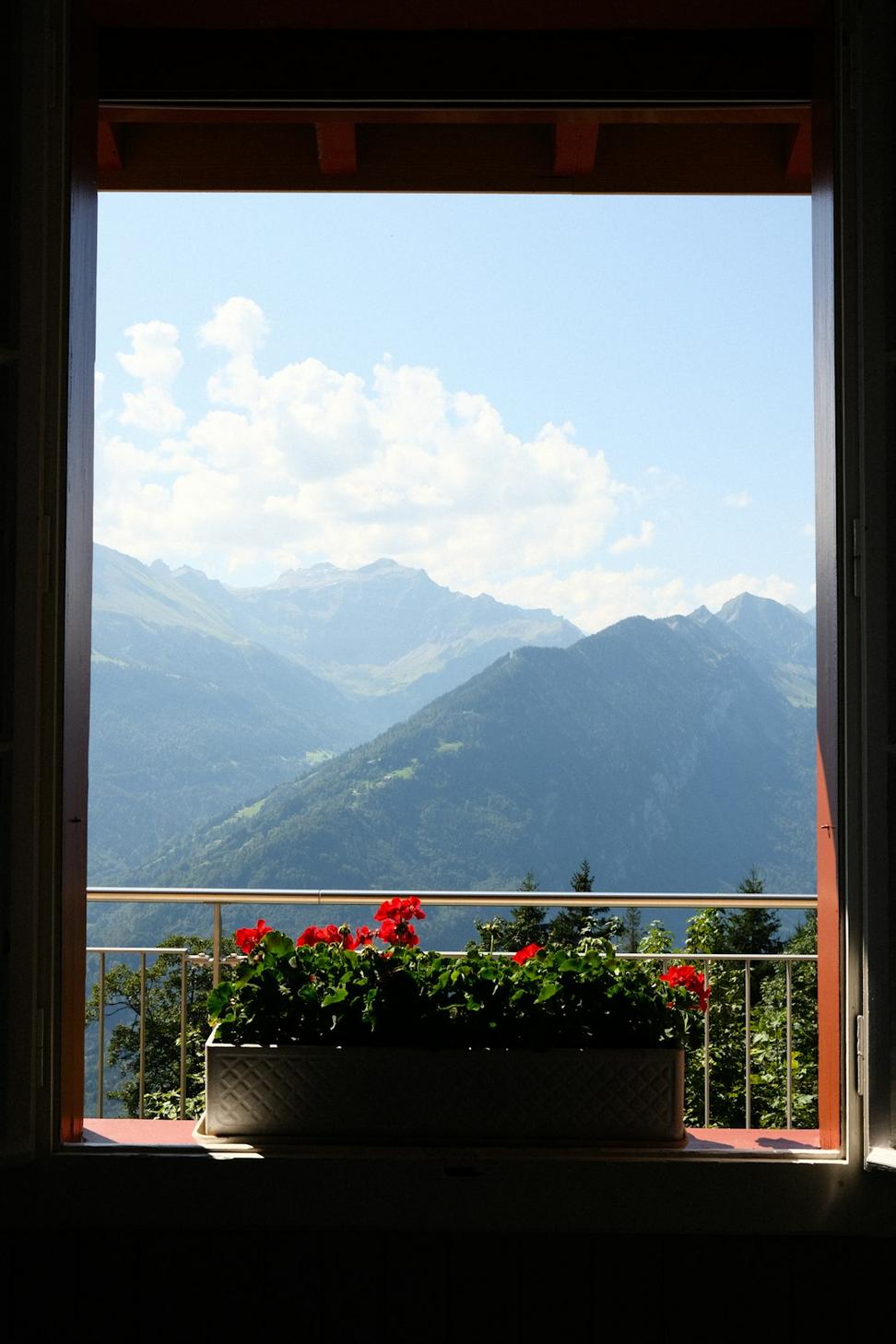 Mountain view accommodations