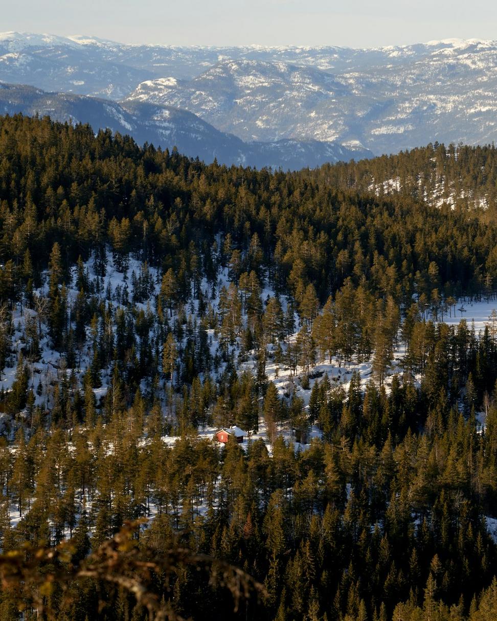 Contact Zephyron Warden